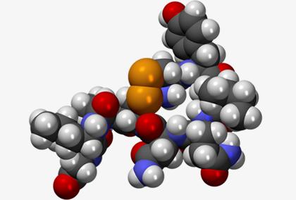 CPK model of the Oxitocin molecule
